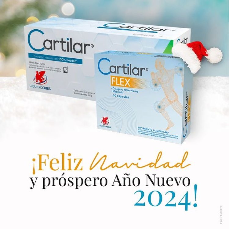 Feliz Navidad y próspero Año Nuevo